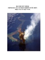 TRÌNH bày về vấn đề ô NHIỄM nước BIỂN HIỆN NAY ở VIỆT NAM 