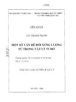 Một số vấn đề đối xứng lượng tử trong vật lý vi mô 