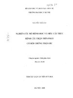Nghiên cứu mô bệnh học và siêu cấu trúc bệnh cầu thận tiên phát có hội chứng thận hư 