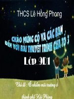 Sinh 9 :Bài thuyết trình về ô nhiễm môi trường ở địa phương em: Hải Phòng