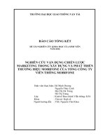 hoàn thiện chiến lược marketing nhằm xây dựng và phát triển thương hiệu mobifone