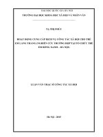Hoạt động cung cấp dịch vụ công tác xã hội cho trẻ em lang thang (nghiên cứu trường hợp tại tổ chức trẻ em rồng xanh   hà nội 