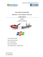 report about FPT joint stock company – FPT