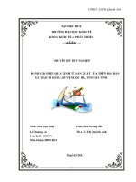 “ đánh giá hiệu quả kinh tế sản xuất lúa ở xã thạch châu – huyện lộc hà – tỉnh hà tĩnh