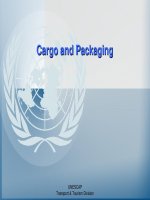 TỔNG QUAN VỀ TÀU HÀNG VÀ XẾP DỠ HÀNG HÓA(PPT CARGO AND PACKAGING)
