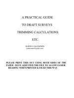 GIÁM ĐỊNH MỚN NƯỚC VÀ TÍNH TOÁN HÀNG HÓA (A PRACTICAL GUIDE  TO DRAFT SURVEYS TRIMMING CALCULATIONS)