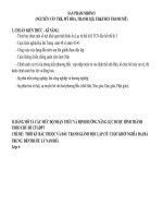 KIỂM TRA THEO ĐỊNH HƯỚNG PHÁT TRIỂN NĂNG LỰC MÔN LỊCH SỬ LỚP 6