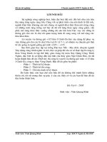 ĐỒ ÁN TỐT NGHIỆP  TỔ CHỨC THI CÔNG LÒ XUYÊN VỈA +115 THAN VÀNG DANH