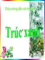 Trò chơi trúc xanh_ có tiếng