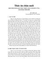 Thức ăn chăn nuôi, biện pháp hàng đầu cho phát triển chăn nuôi bền vững giai đoạn 2010   2020