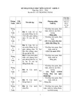 Kế hoạch dạy học môn Lịch sử 9