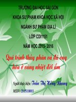 Quá trình thủy phân và đá ong hóa ở vùng nhiệt đới ẩm