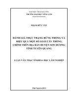 Đánh giá thực trạng rừng trồng và hiệu quả một số loài cây trồng chính trên địa bàn huyện sơn dương   tỉnh tuyên quang