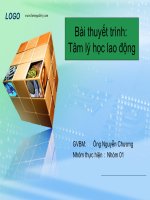 bài thuyết trình tâm lý học lao động