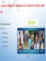 Ứng dụng tế bào gốc trong ghép da