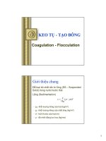 bài giảng keo tụ tạo bông