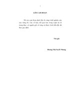 Quản lý vốn chủ sở hữu của Ngân hàng Nhà nước đối với các Ngân hàng Thương mại tại Việt Nam