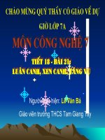 luan canh, xen canh, tang vu