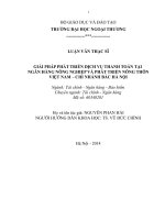 Giải pháp phát triển dịch vụ thanh toán tại ngân hàng nông nghiệp và phát triển nông thôn việt nam