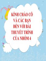 PHÂN LOẠI CÂU THEO CẤU TRÚC CÚ PHÁP