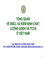 Tổng quan về ĐBCL và kiểm định chất lượng giáo dục đại học và TCCN ở Việt Nam