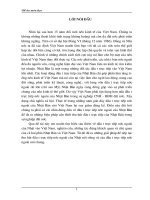 Đầu Tư Trực Tiếp Của Nhật Bản Vào Việt Nam Trong Những Năm Qua - Thực Trạng Và Giải Pháp