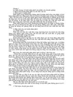 Hệ Thống Kênh Phân Phối Sản Phẩm Của  Công Ty Phát Triển Tin Học Hà Nội - Thực Trạng Và Giải Pháp