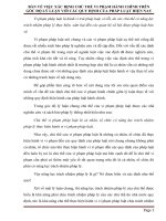 Bàn về việc xác định chủ thể vi phạm hành chính trên góc độ lý luận với các quy định của pháp luật hiện nay