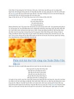 Phân tích bài thơ vội vàng