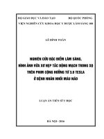 Nghiên cứu đặc điểm lâm sàng, hình ảnh vữa xơ hẹp tắc động mạch trong sọ trên phim cộng hưởng từ 3.0 Tesla ở bệnh nhân nhồi máu não