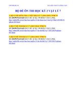 BỘ ĐỀ ÔN THI HK2 LÝ 7