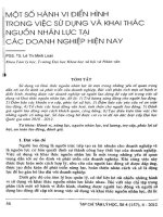 Một số hành vi điển hình trong việc sử dụng và khai thác nguồn nhân lực tại các doanh nghiệp hiện nay   PGS TS  lê thị minh loan