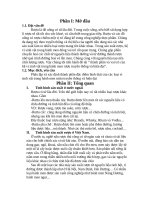 thành phần và vai trò của  hệ vi sinh vật trong bánh men rượu truyền thống và hiện đại