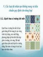 Bài giảng các loại đá nhân tạo không nung và tiêu chuẩn quy định cho từng loại