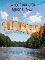 địa lí kinh tế xã hội 2 giao thông đường thủy nội địa (gtvt đường sông)