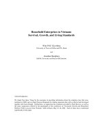 Household Enterprises in Vietnam: Survival, Growth, and Living Standards