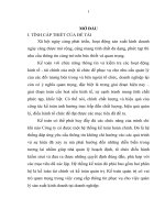 Xây dựng mô hình kế toán quản trị chi phí tại công ty cổ phần TMDV trực tuyến EPS 