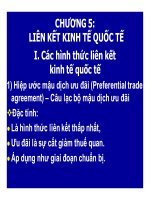 Bài giảng Kinh tế quốc tế - Chương 5- Liên kết kinh tế quốc tế
