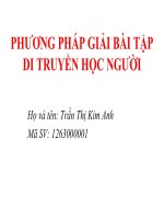 Phuơng pháp giải bài tập di truyền người