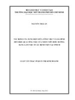Tác động của xung đột giữa công việc và gia đình đến hiệu quả công việc của nhân viên điều dưỡng đang làm việc ở các bệnh viện tại tphcm