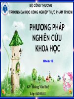 Quá trình hình thành và phát triển của phôi thai người