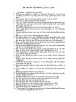 câu hỏi ôn tập luật so sánh