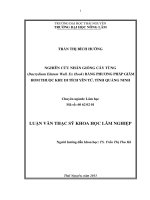 Nghiên cứu nhân giống cây tùng bằng phương pháp giâm hom thuộc khu di tích yên tử, tỉnh quảng ninh 