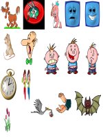 hình ảnh động trang trí cho bài giảng điện tử