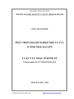 Phát triển doanh nghiệp nhỏ và vừa ở tỉnh thái nguyên 