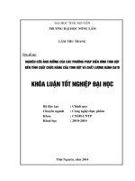 Nghiên cứu ảnh hưởng của các phương pháp biến hình tinh bột đến tính chất chức năng của tinh bột và chất lượng bánh gato 