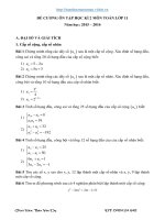 ĐỀ CƯƠNG ÔN TẬP HỌC KÌ 2 MÔN TOÁN 11 NĂM HỌC 2015-2016