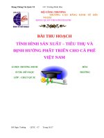 BÀI THU HOẠCH TÌNH HÌNH sản XUẤT – TIÊU THỤ và ĐỊNH HƯỚNG PHẤT TRIỂN CHO cà PHÊ VIỆT NAM 