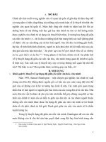 Lý thuyết đụng độ giữa các nền văn hóa, văn minh trong quan hệ chính trị quốc tế hiện nay 