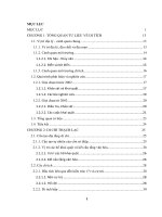 Di chỉ thạch lạc trong bối cảnh các di tích cồn sò điệp ven biển hà tĩnh 